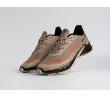 Кроссовки Salomon Alphacross 5 GTX