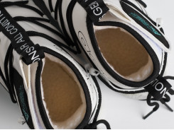 Зимние Кроссовки Nike ACG Air Terra Antarktik