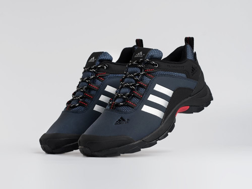 Зимние Кроссовки Adidas Terrex AX2