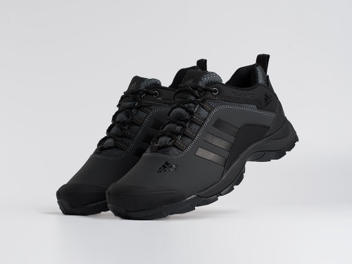 Зимние Кроссовки Adidas Terrex AX2