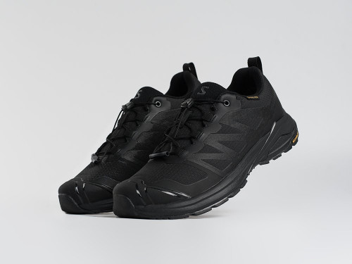 Кроссовки Salomon X ADVENTURE GTX
