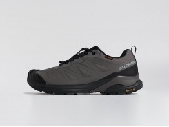 Кроссовки Salomon X ADVENTURE GTX