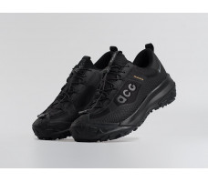 Кроссовки Nike ACG Mountain Fly Low