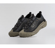 Кроссовки Nike ACG Mountain Fly Low