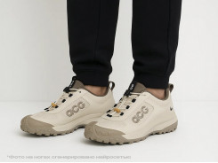 Кроссовки Nike ACG Mountain Fly Low