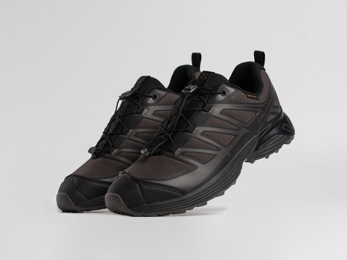 Кроссовки Salomon XT-Pathway 2