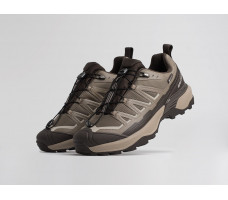 Кроссовки Salomon X Ultra 360