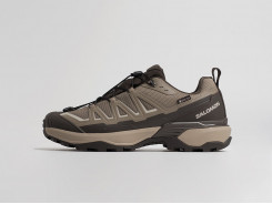 Кроссовки Salomon X Ultra 360