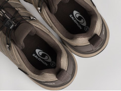 Кроссовки Salomon X Ultra 360