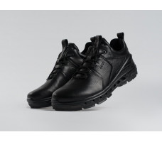 Зимние Кроссовки Ecco Biom