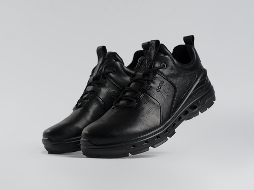 Зимние Кроссовки Ecco Biom