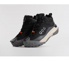 Зимние кроссовки Nike ACG Mountain Fly Mid
