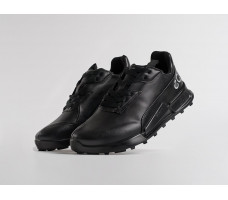 Кроссовки ECCO BIOM 2.1 X MOUNTAIN