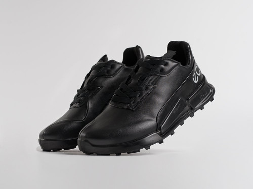 Кроссовки ECCO BIOM 2.1 X MOUNTAIN