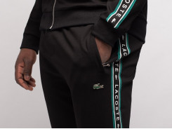 Спортивный костюм Lacoste