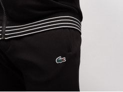 Спортивный костюм Lacoste